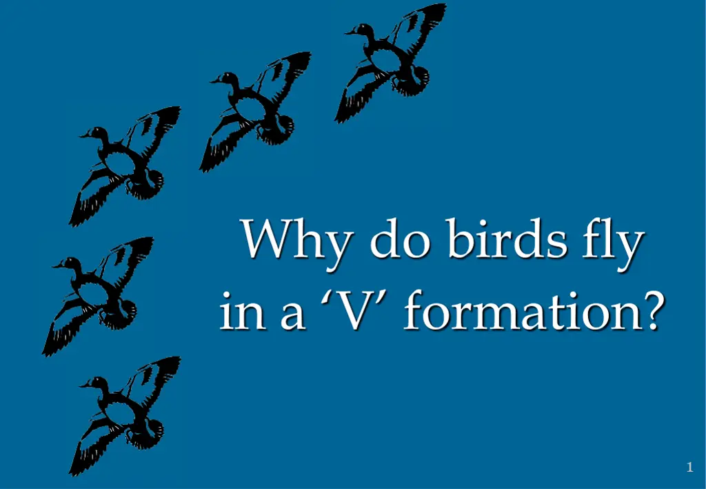 why do birds fly in a v formation n.w