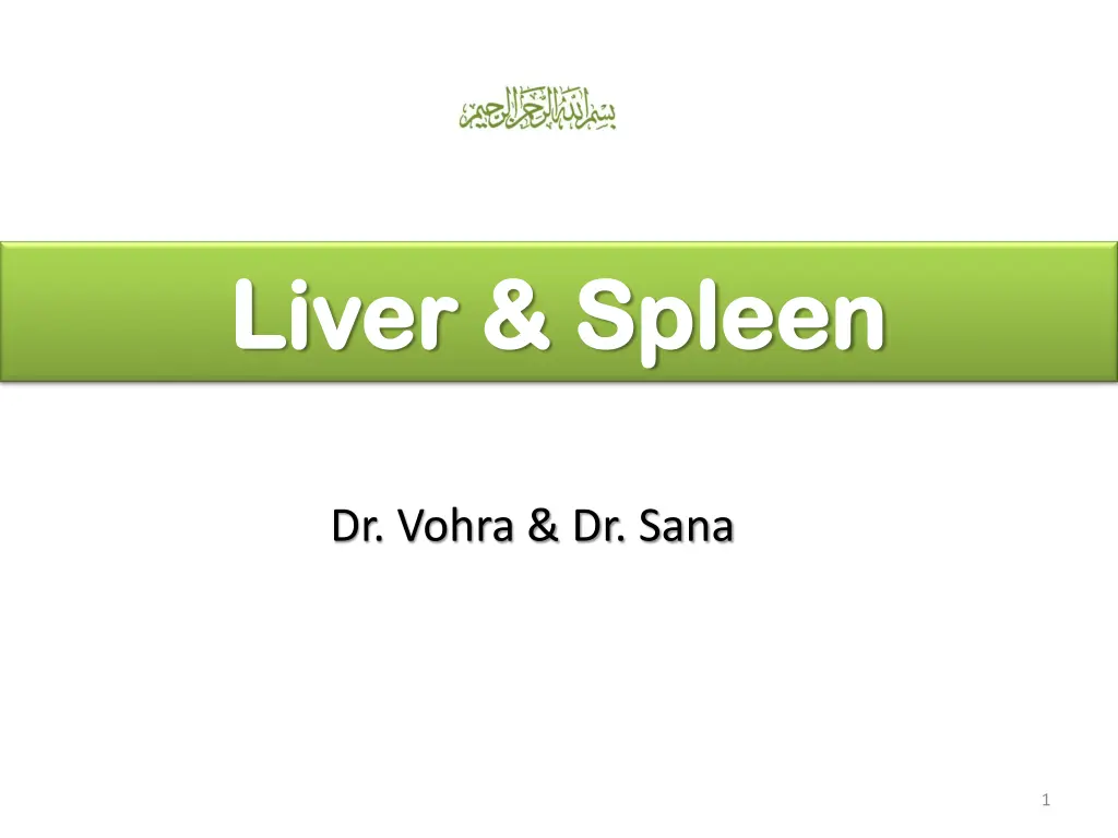 liver spleen liver spleen n.w