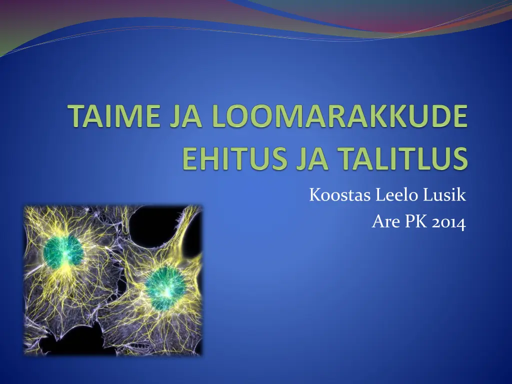 koostas leelo lusik are pk 2014 n.w