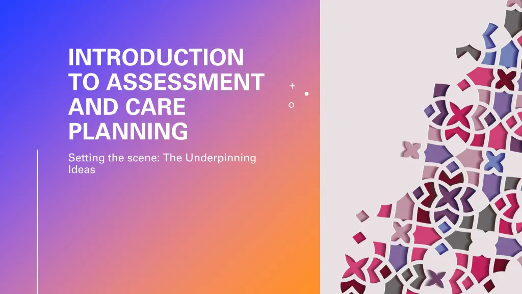 introduction to assessment and care planning n.w
