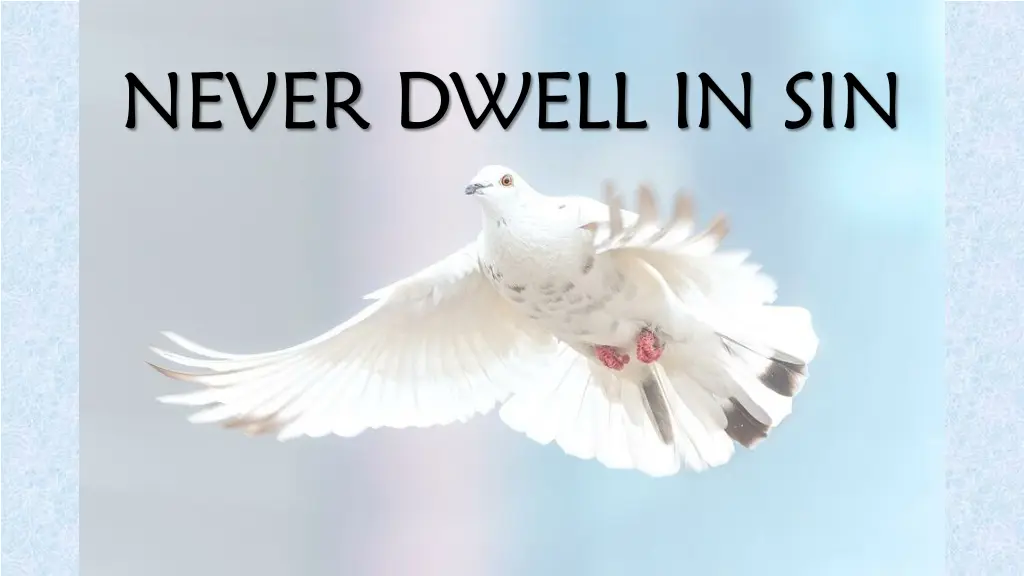 never dwell in sin n.w