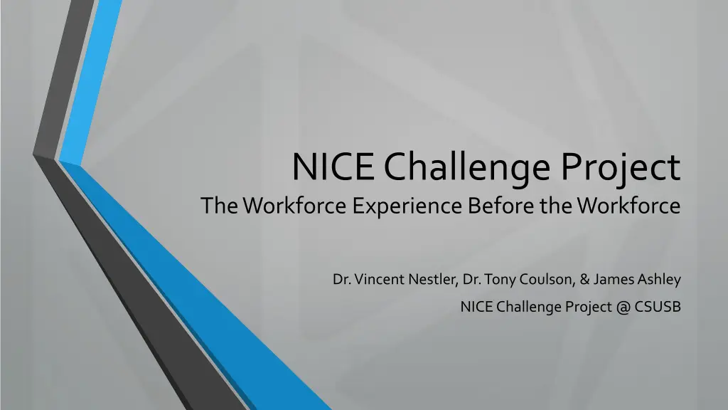 nice challenge project the workforce experience n.w