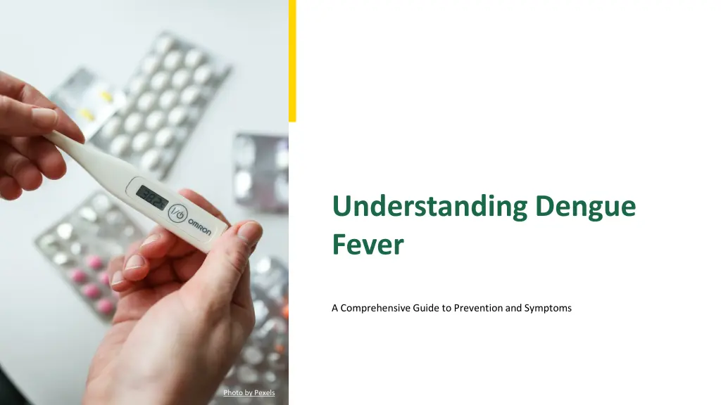understanding dengue fever n.w
