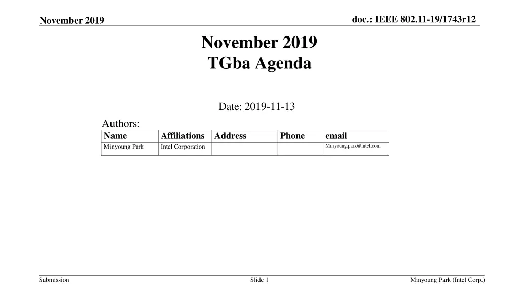doc ieee 802 11 19 1743r12 n.w