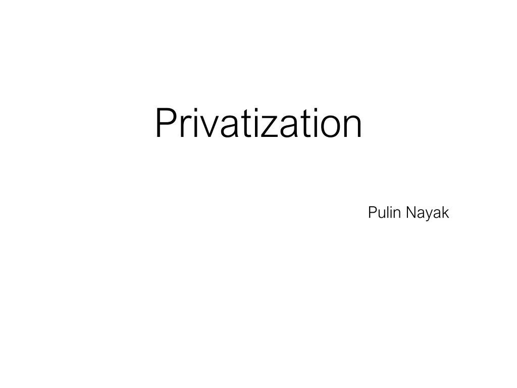 privatization n.w