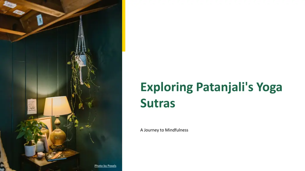 exploring patanjali s yoga sutras n.w