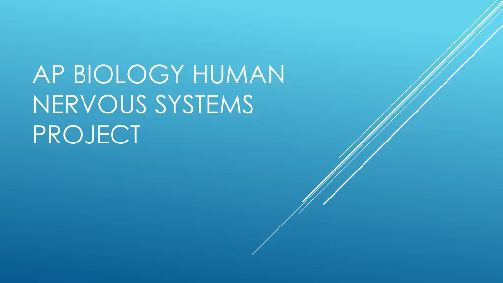 ap biology human nervous systems project n.w