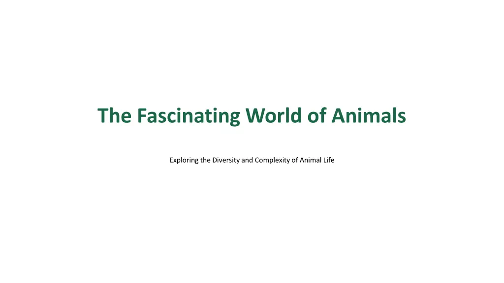 the fascinating world of animals n.w