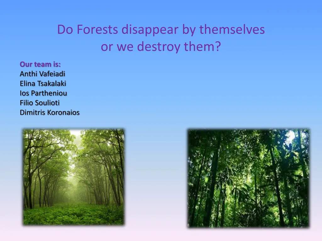 do forests disappear by themselves or we destroy n.w
