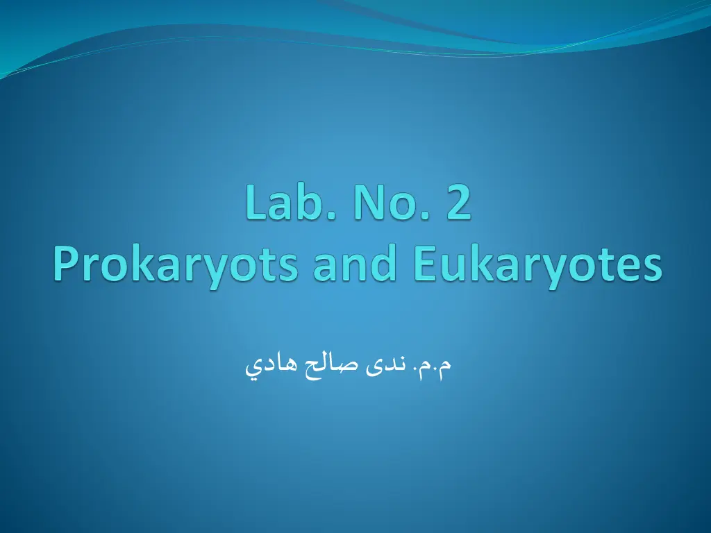 slide1 n.w