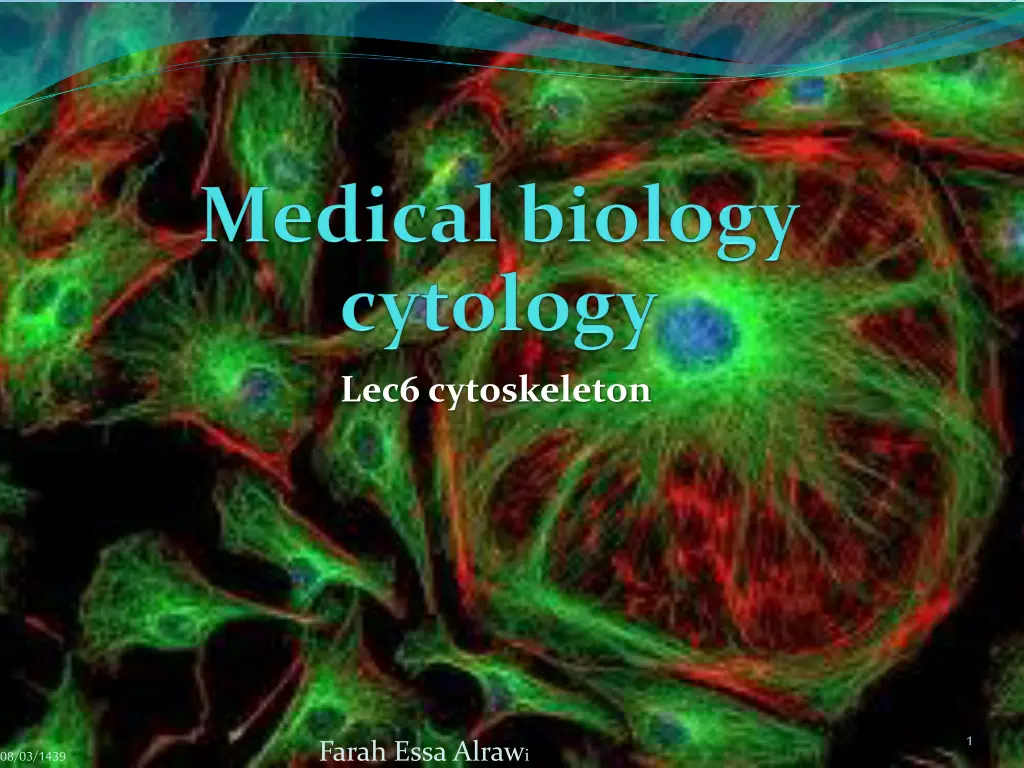 lec6 cytoskeleton n.w