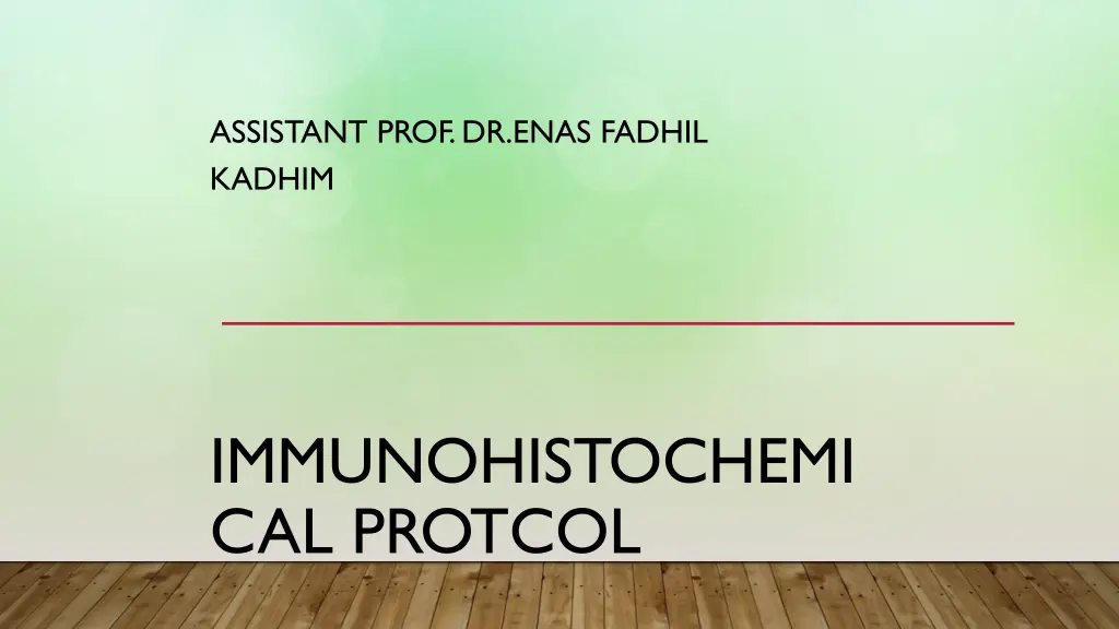 assistant prof dr enas fadhil kadhim n.w