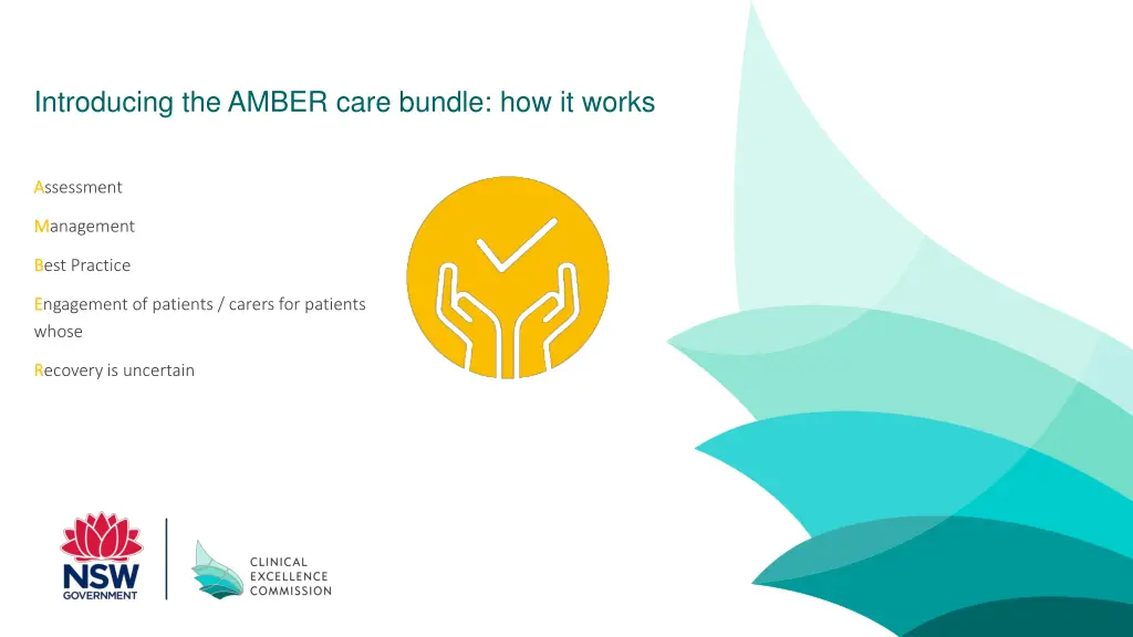 introducing the amber care bundle how it works n.w