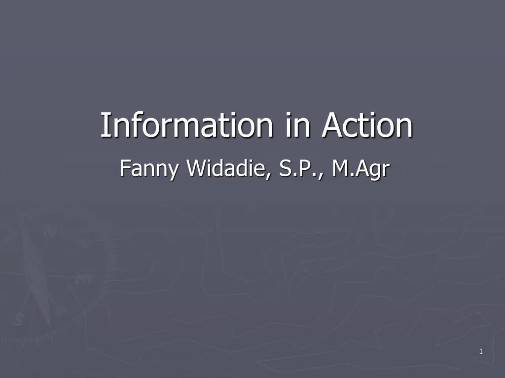 information in action fanny widadie s p m agr n.w