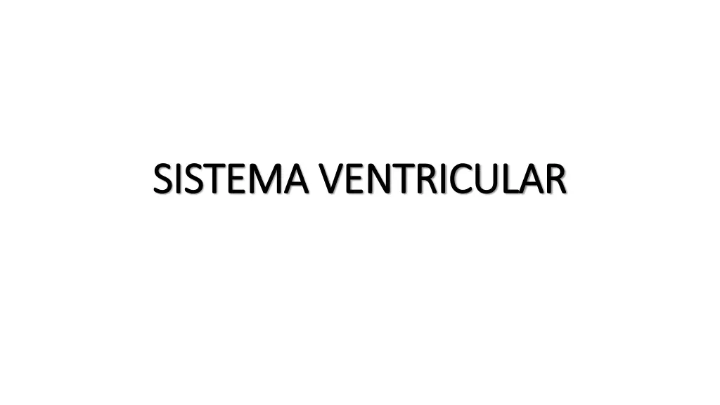 sistema ventricular sistema ventricular n.w