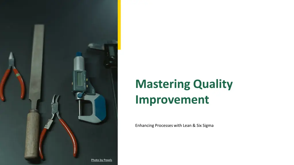 mastering quality improvement n.w