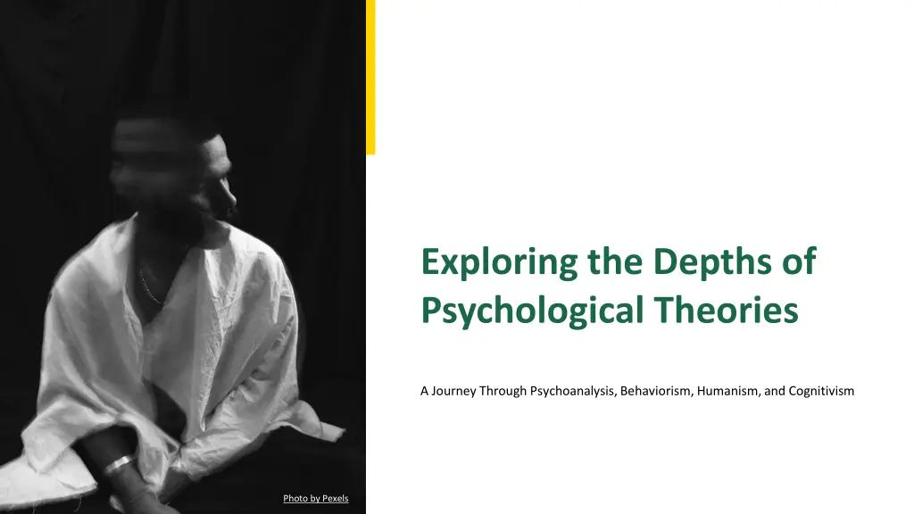 exploring the depths of psychological theories n.w