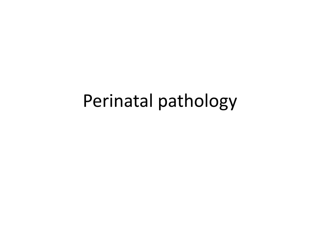 perinatal pathology n.w
