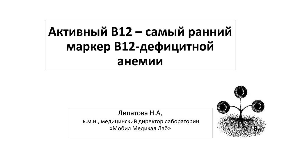 b12 12 n.w