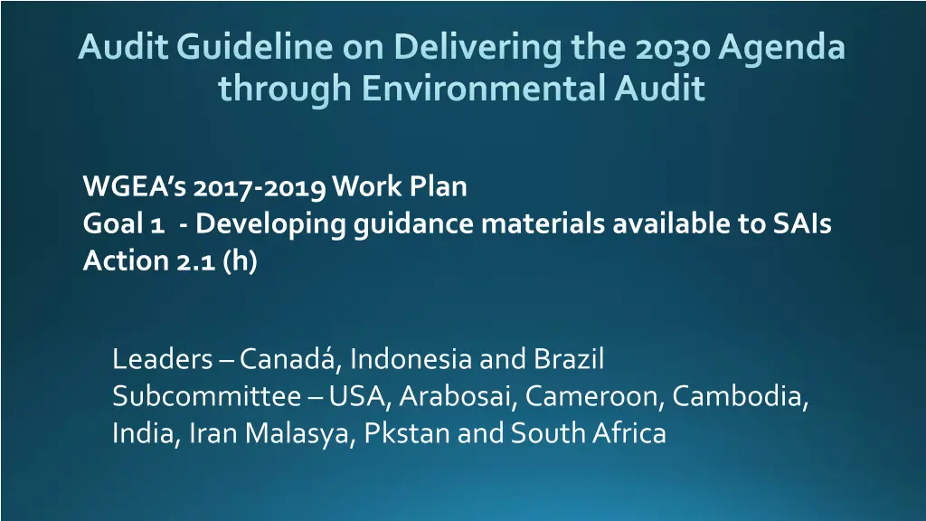 audit guideline on delivering the 2030 agenda n.w