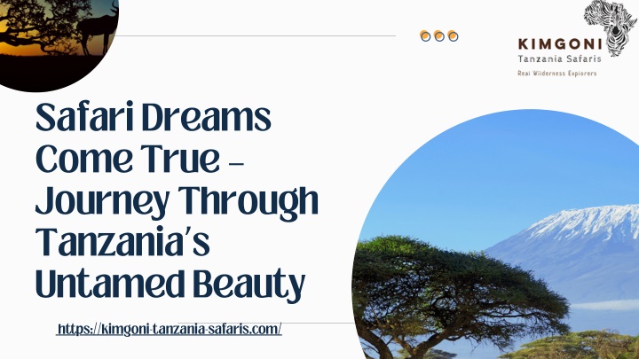 safari dreams come true journey through tanzania n.w