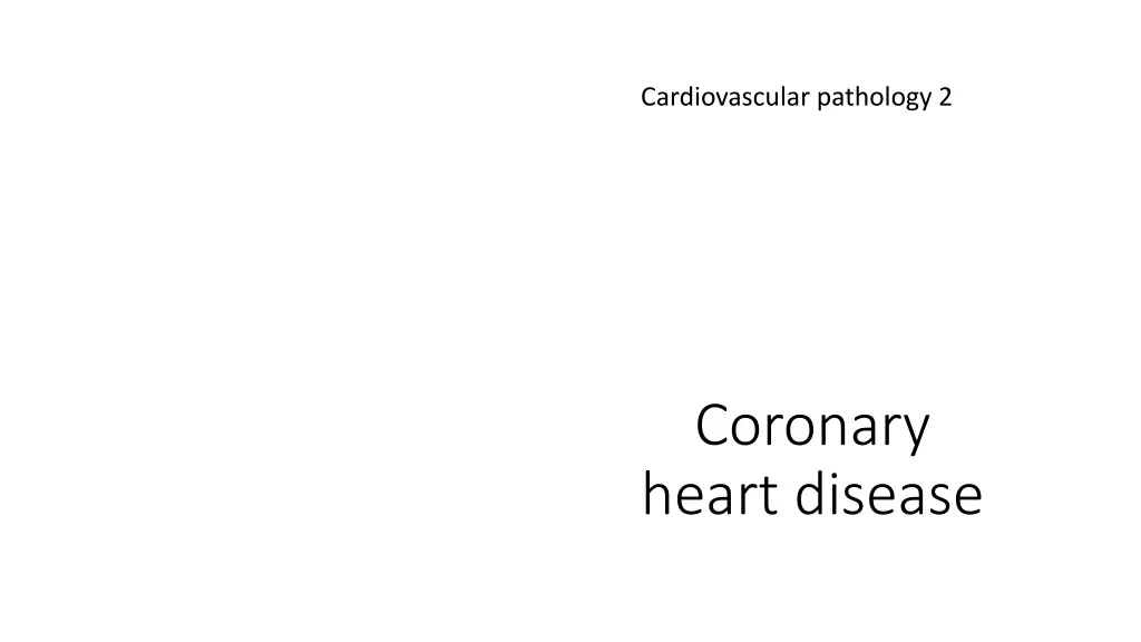 cardiovascular pathology 2 n.w