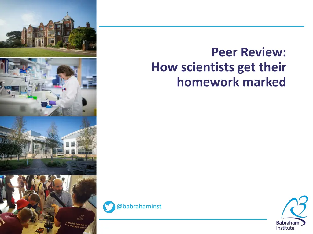 peer review n.w