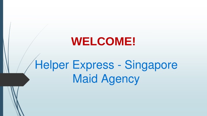Hire Indonesia Maid in Novena