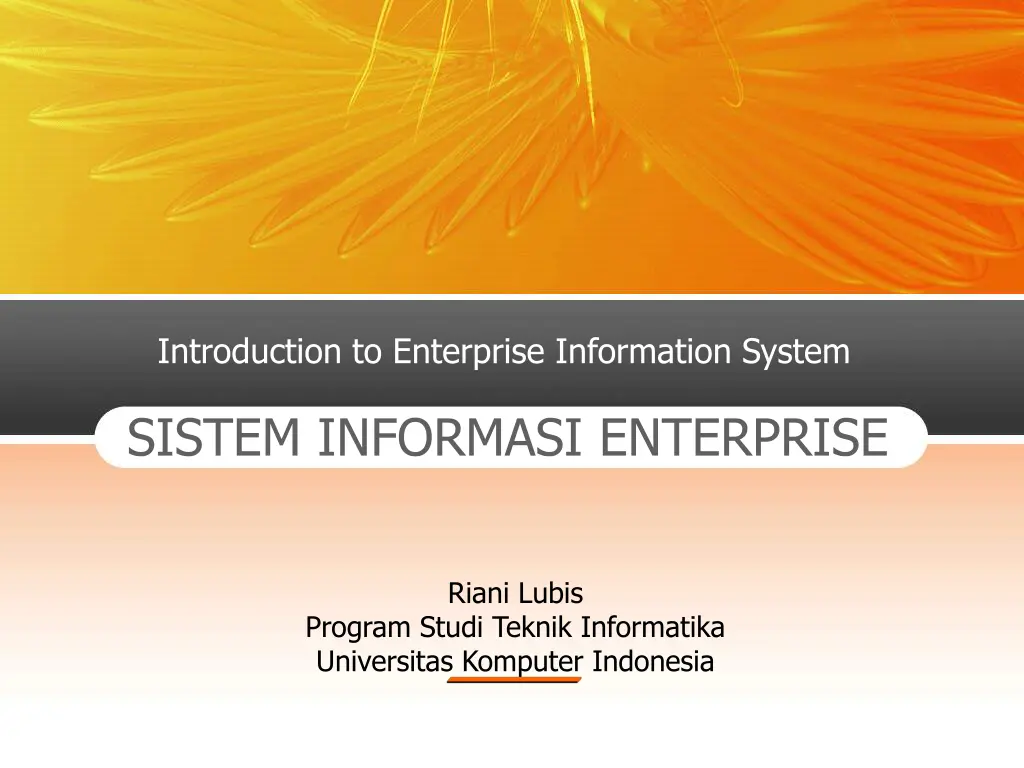 introduction to enterprise information system n.w