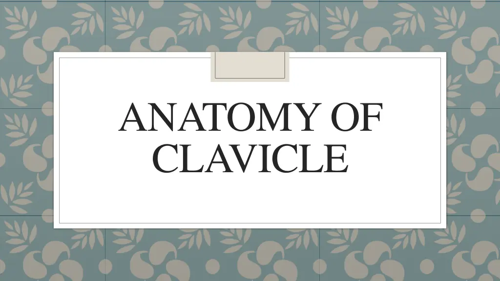 anatomy of clavicle n.w