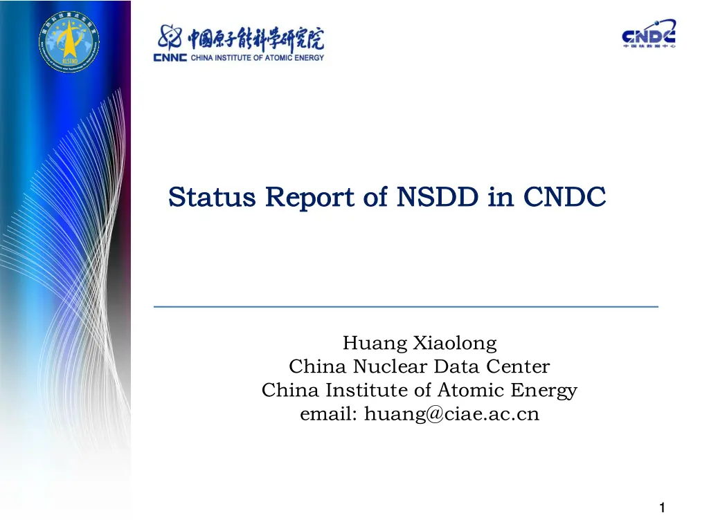 status report of nsdd in cndc status report n.w
