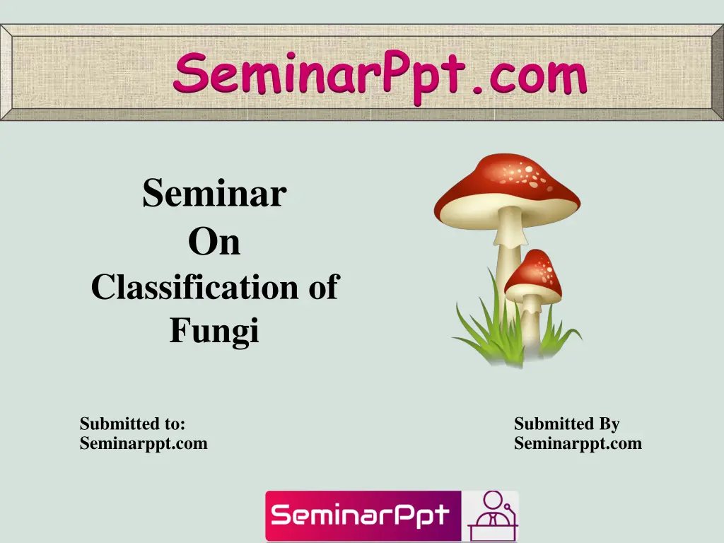 seminarppt com n.w