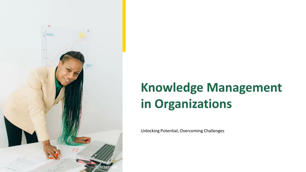 knowledge management in organizations n.w