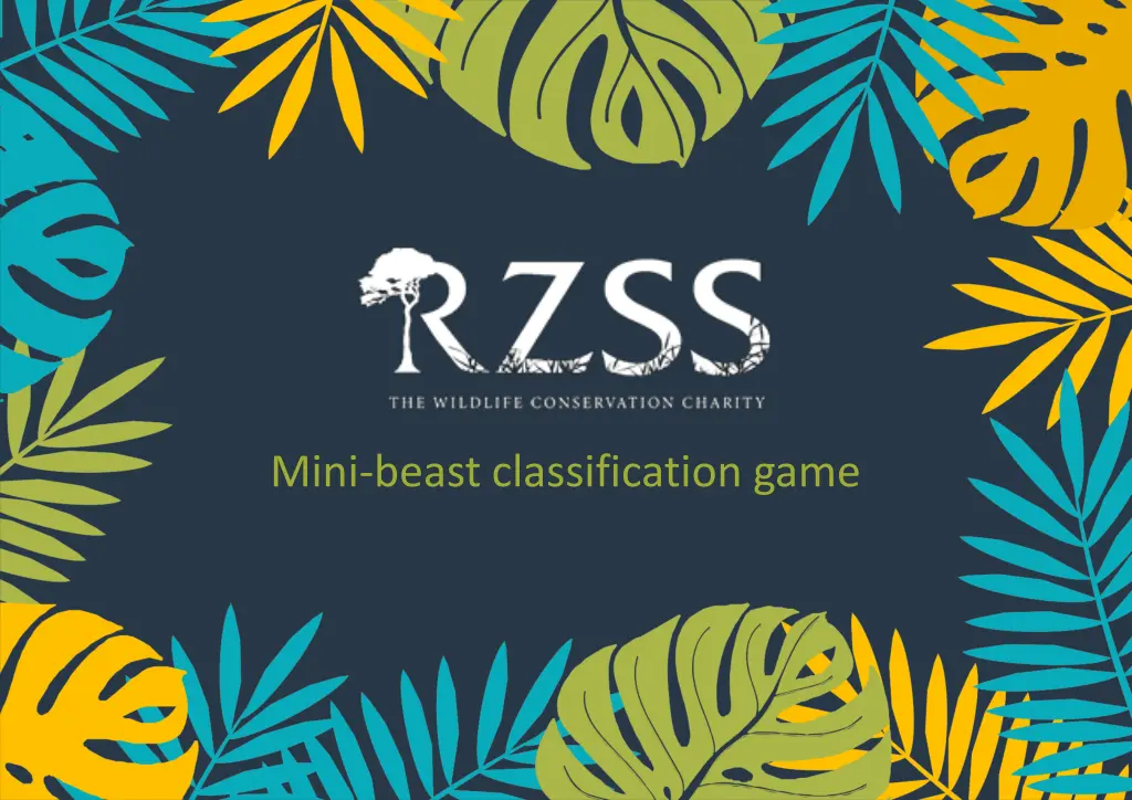mini beast classification game n.w