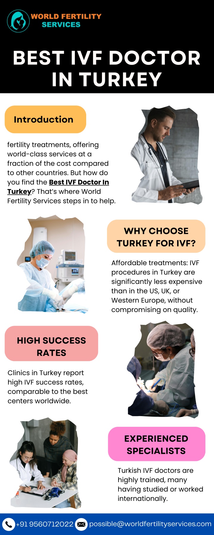 best ivf doctor in turkey n.w