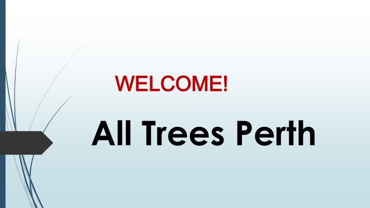 Best Tree Services in Joondalup