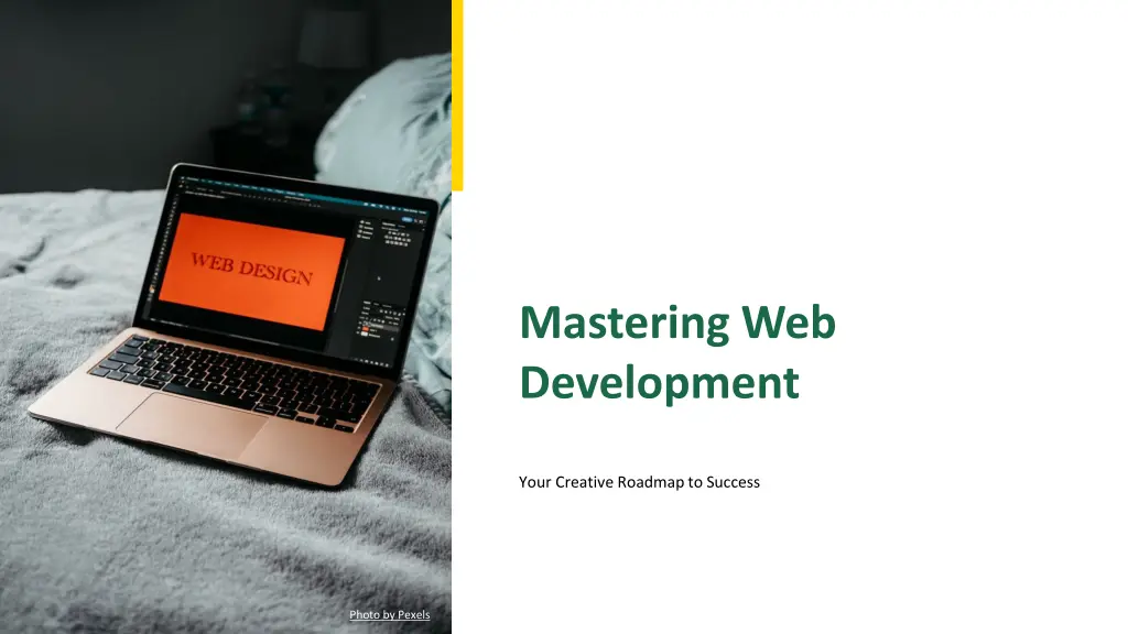 mastering web development n.w