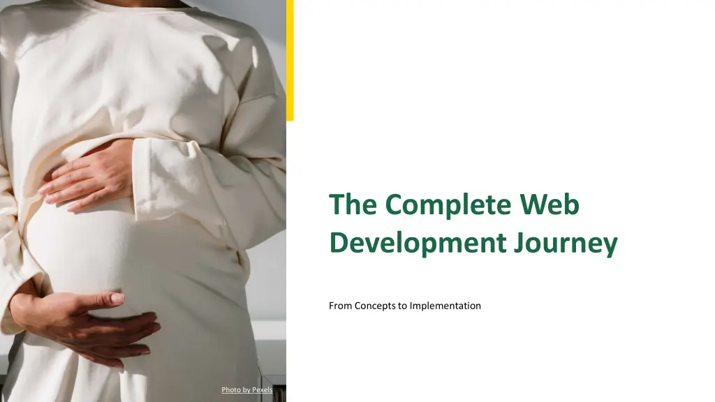 the complete web development journey n.w