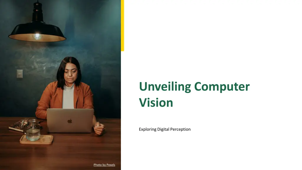 unveiling computer vision n.w