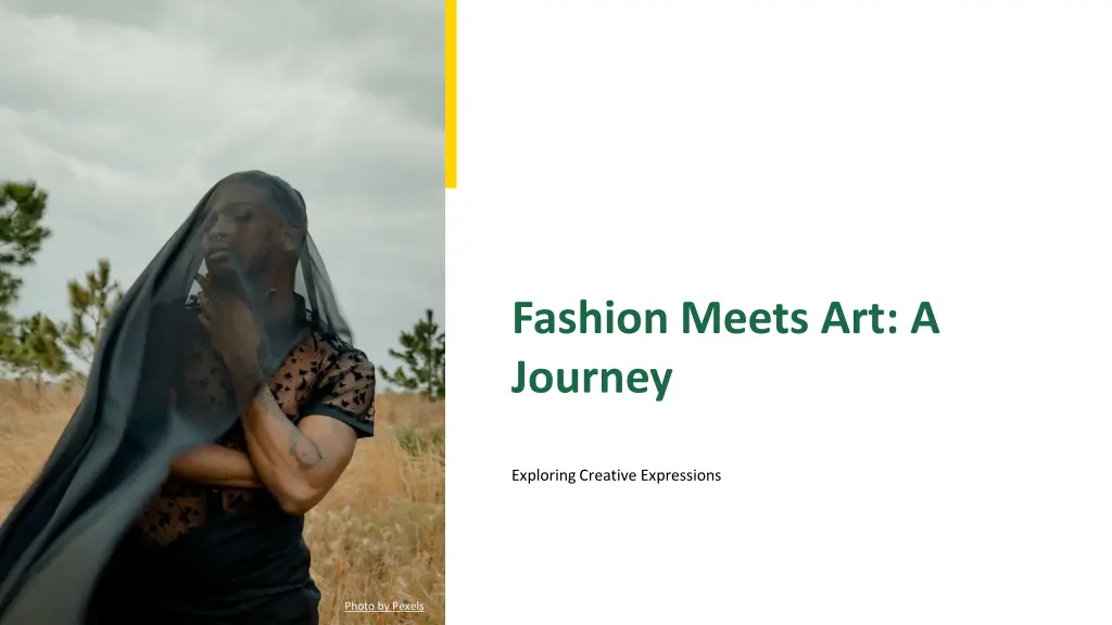 fashion meets art a journey n.w
