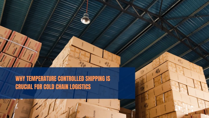 Neal Elbaum - Why Temperature Controlled Shipping Is Crucial for Cold Chain Logistics