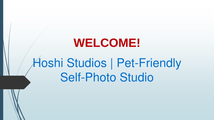 Get professional Pet Friendly Photoshoot in Queenstown