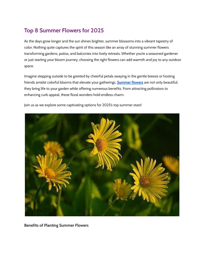 top 8 summer flowers for 2025 n.w