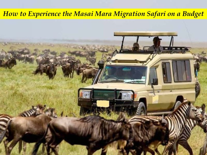 How to Experience the Masai Mara Migration Safari on a Budget