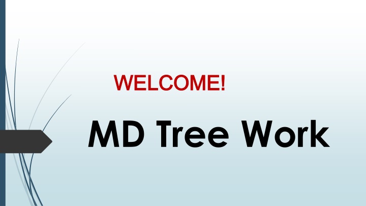 Best Tree Trimming in East Melbourne