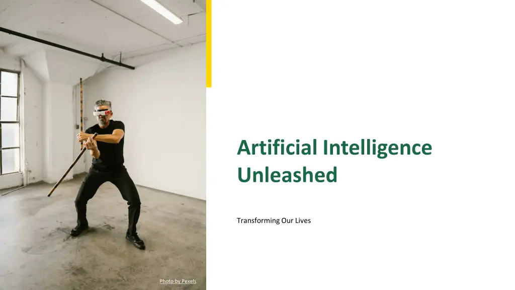 artificial intelligence unleashed n.w