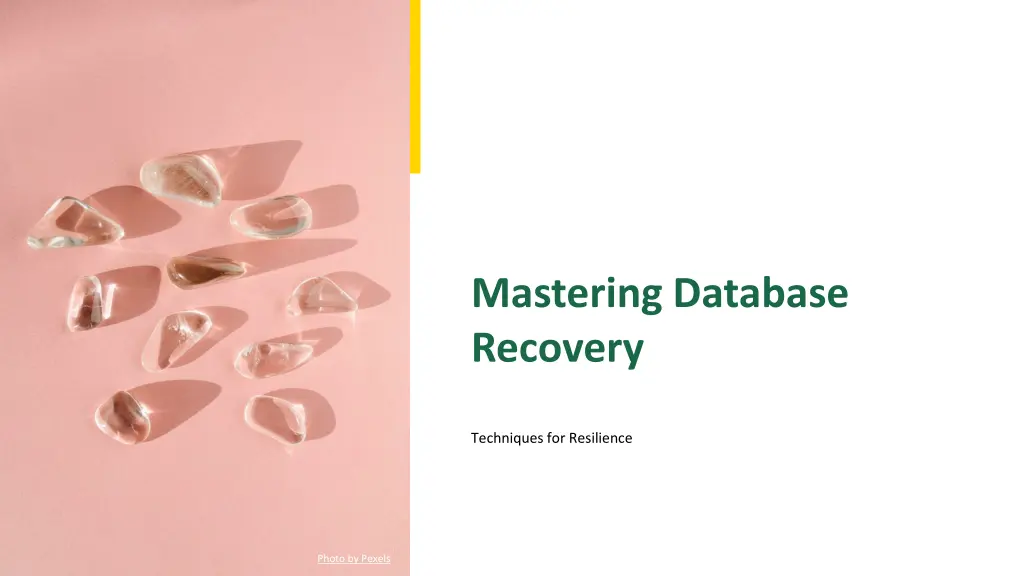 mastering database recovery n.w