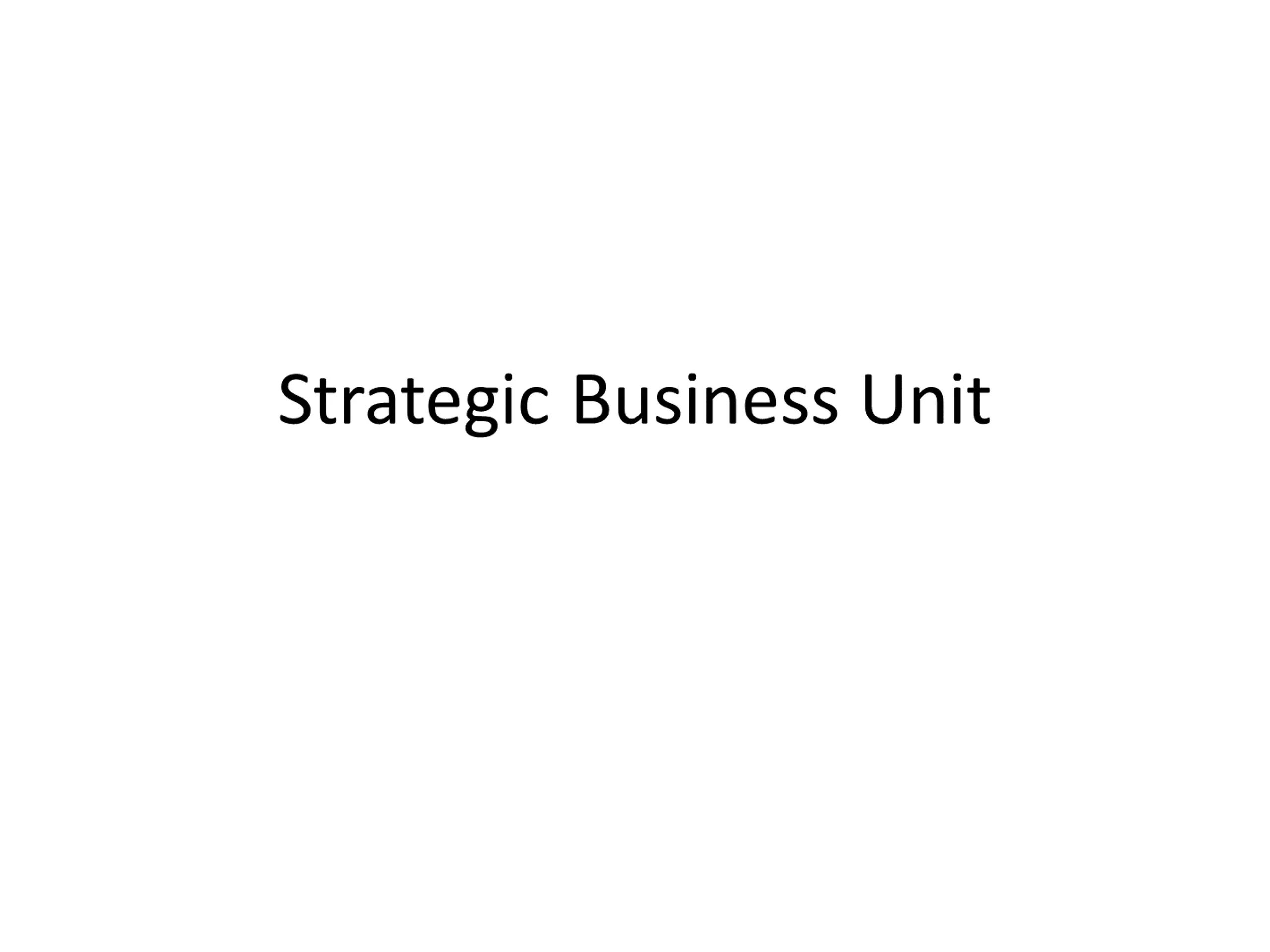 Strategic Business Unit