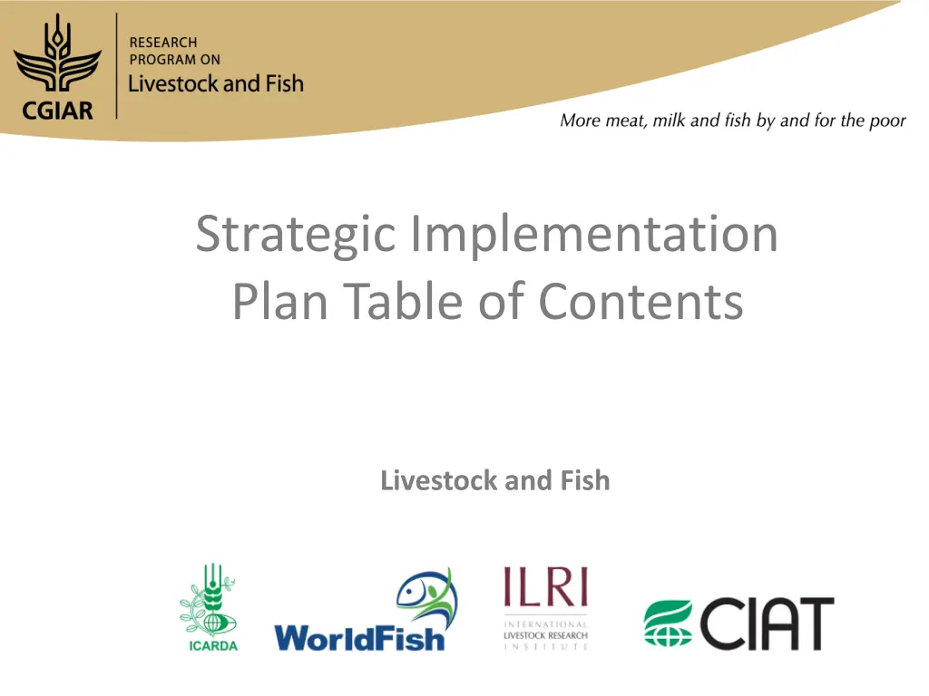 strategic implementation plan table of contents n.w
