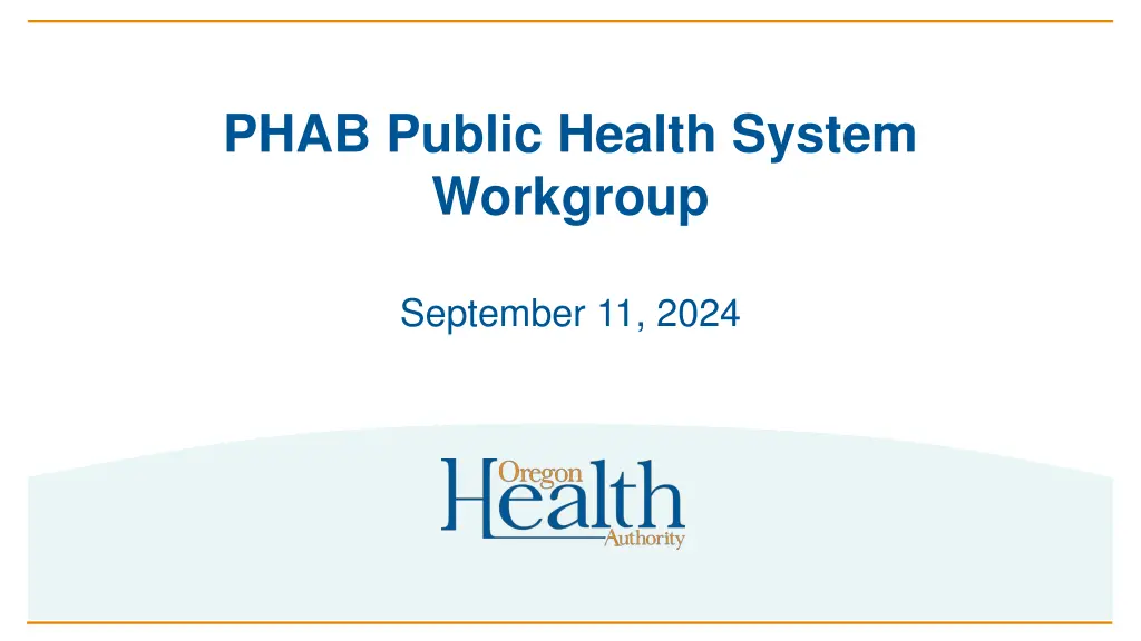 phab public health system workgroup n.w